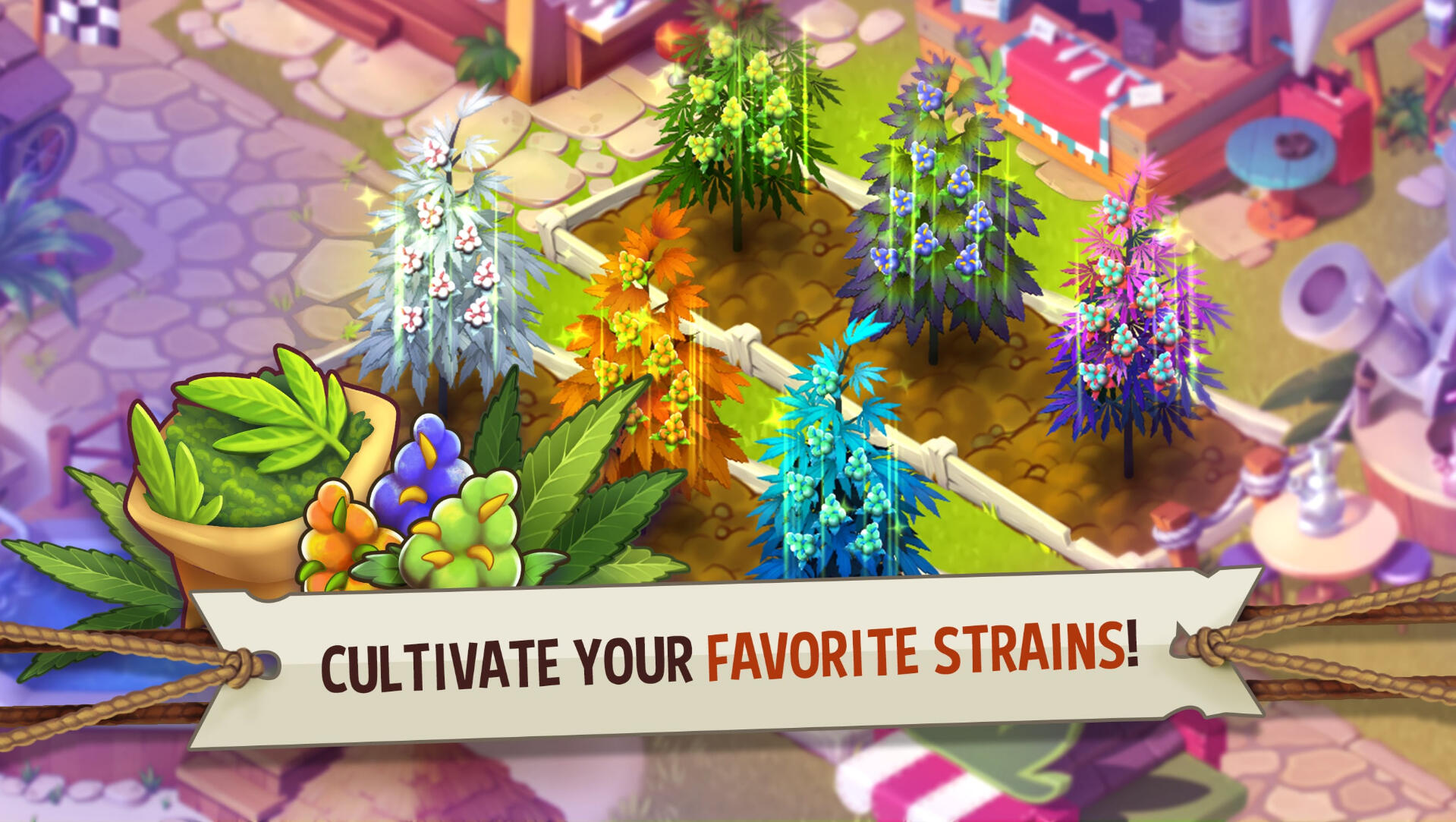 Hemp Paradise screenshot Hemp Paradise screenshot